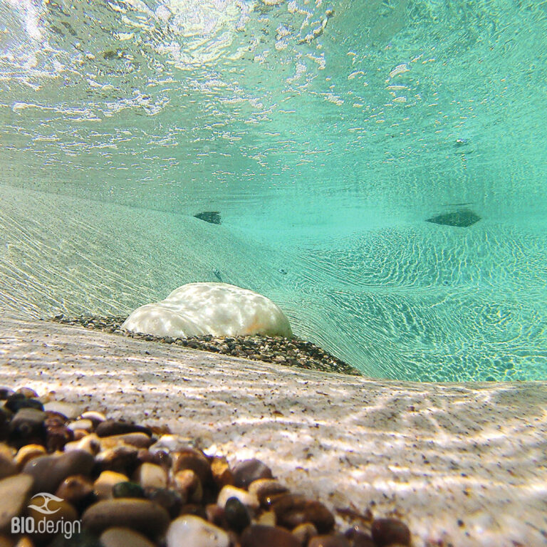 DCIM100GOPRO
